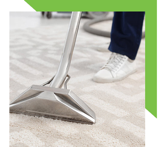 Expert Shieldmate Cleaning and Pest