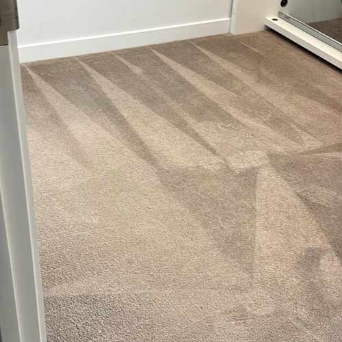 carpet cleaning