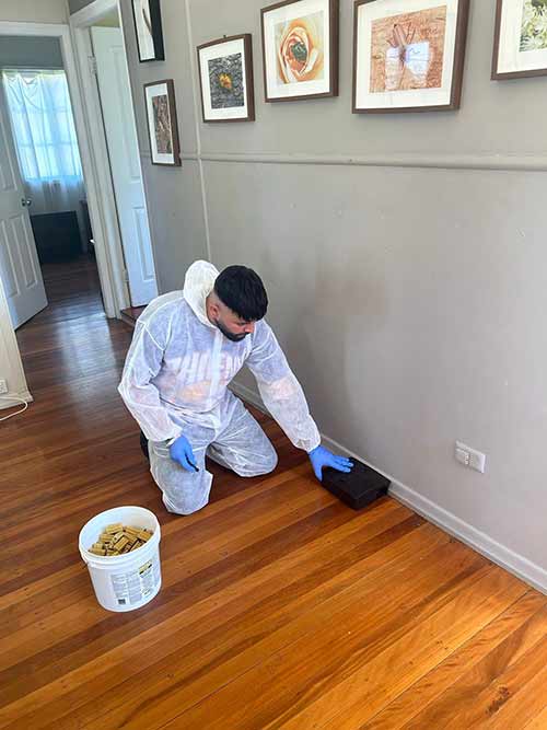 SM Maintenance and Pest Control